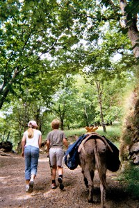 Cevennes with Salome 2005